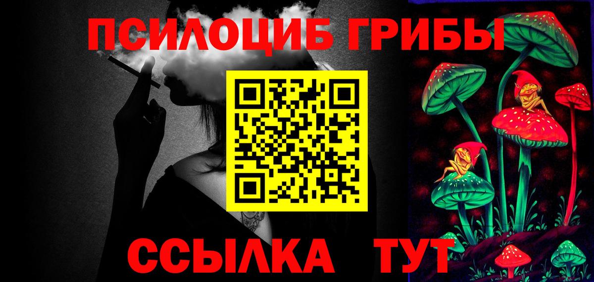 Галлюциногенные грибы Psilocybe Балахна