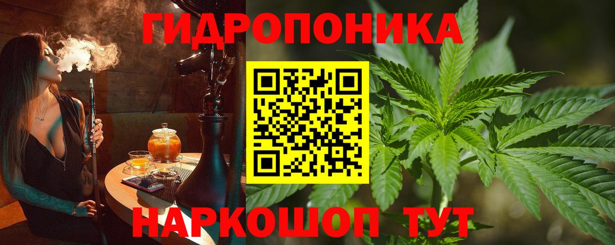 Балахна  Канабис сатива  Бошки Шишки Ganja  Шишки марихуана White Widow  Вход с VPN 